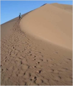 Chegaga Aventure,desert tours in Morocco,Zagora camel trek to camp