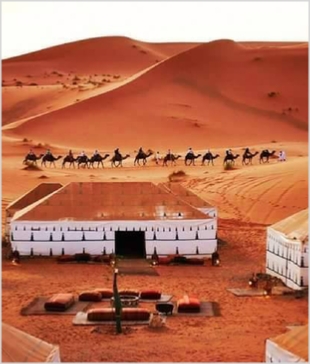 Chegaga Aventure,desert tours in Morocco,Zagora camel trek to camp