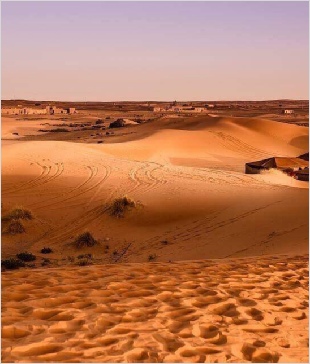 Chegaga Aventure,desert tours in Morocco,Zagora camel trek to camp