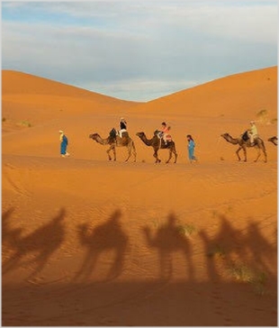 Chegaga Aventure,desert tours in Morocco,Zagora camel trek to camp