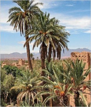 Chegaga Aventure,private tours from Marrakech