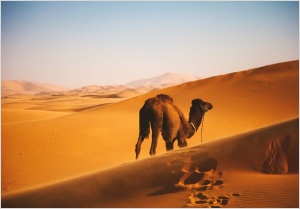 1 week around Morocco tour from Marrakech,private Marrakesh tour to Merzouga