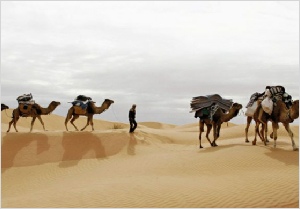 Chegaga Aventure,private tours in Morocco
