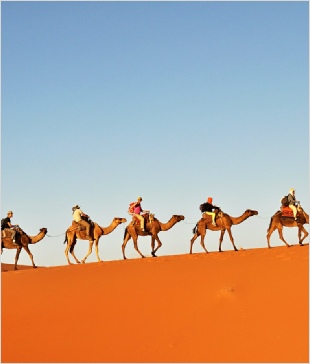 1 week around Morocco tour from Marrakech,private Marrakesh tour to Merzouga