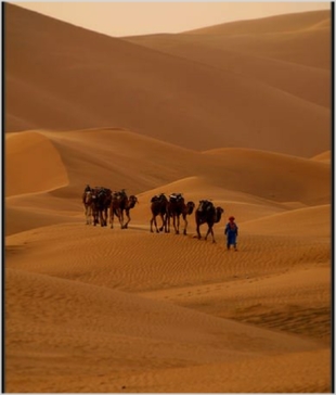 Chegaga Aventure,desert tours in Morocco,Zagora camel trek to camp