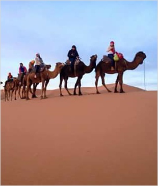 Chegaga Aventure,desert tours in Morocco,Zagora camel trek to camp