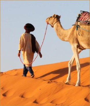 private 5 days tour from Tangier to Merzouga,Sahara excursions