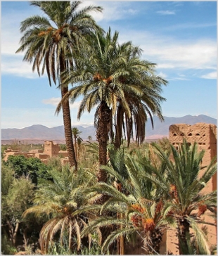 Chegaga Aventure,private tours from Marrakech