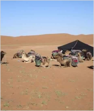 Chegaga Aventure,desert tours in Morocco,Zagora camel trek to camp