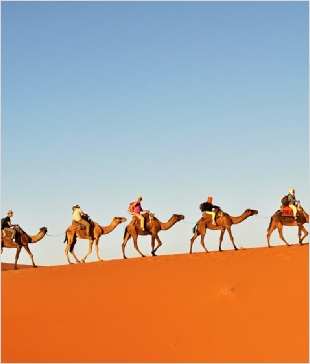 1 week around Morocco tour from Marrakech,private Marrakesh tour to Merzouga