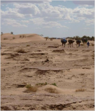 Chegaga Aventure,desert tours in Morocco,Zagora camel trek to camp