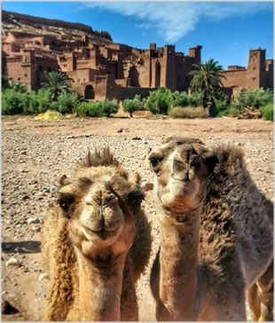 Chegaga Aventure,private tours from Marrakech