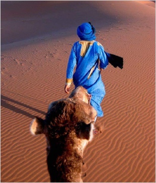 Chegaga Aventure,desert tours in Morocco,Zagora camel trek to camp