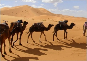 Chegaga Aventure,private tours in Morocco