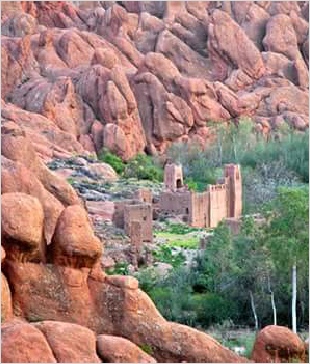 Chegaga Aventure,desert tours in Morocco,Zagora camel trek to camp