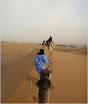 Chegaga Aventure,desert tours in Morocco,Zagora camel trek to camp