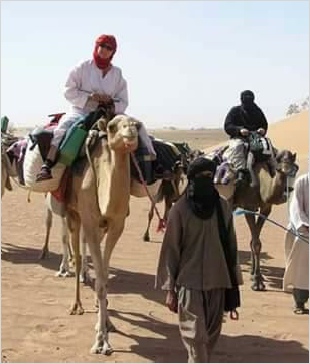 Chegaga Aventure,desert tours in Morocco,Zagora camel trek to camp