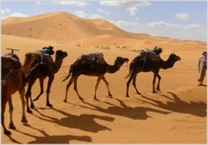Chegaga Aventure,private tours in Morocco