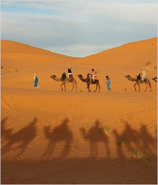 Chegaga Aventure,desert tours in Morocco,Zagora camel trek to camp