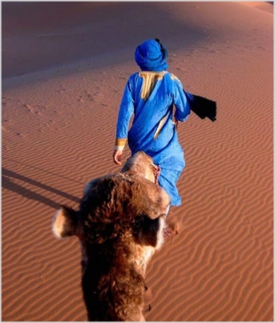 Chegaga Aventure,desert tours in Morocco,Zagora camel trek to camp